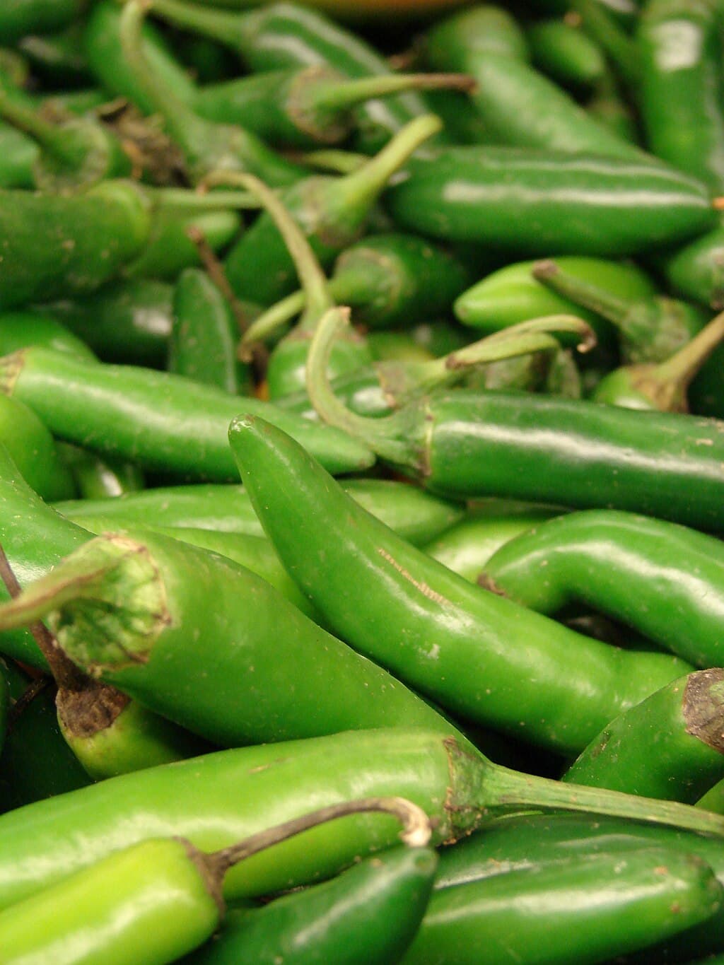 Serrano Pepper